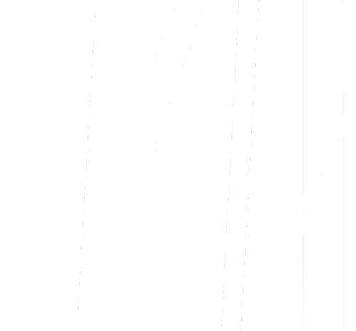 Logo BA Bois